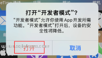 IOS16开启开发者模式 (4).png