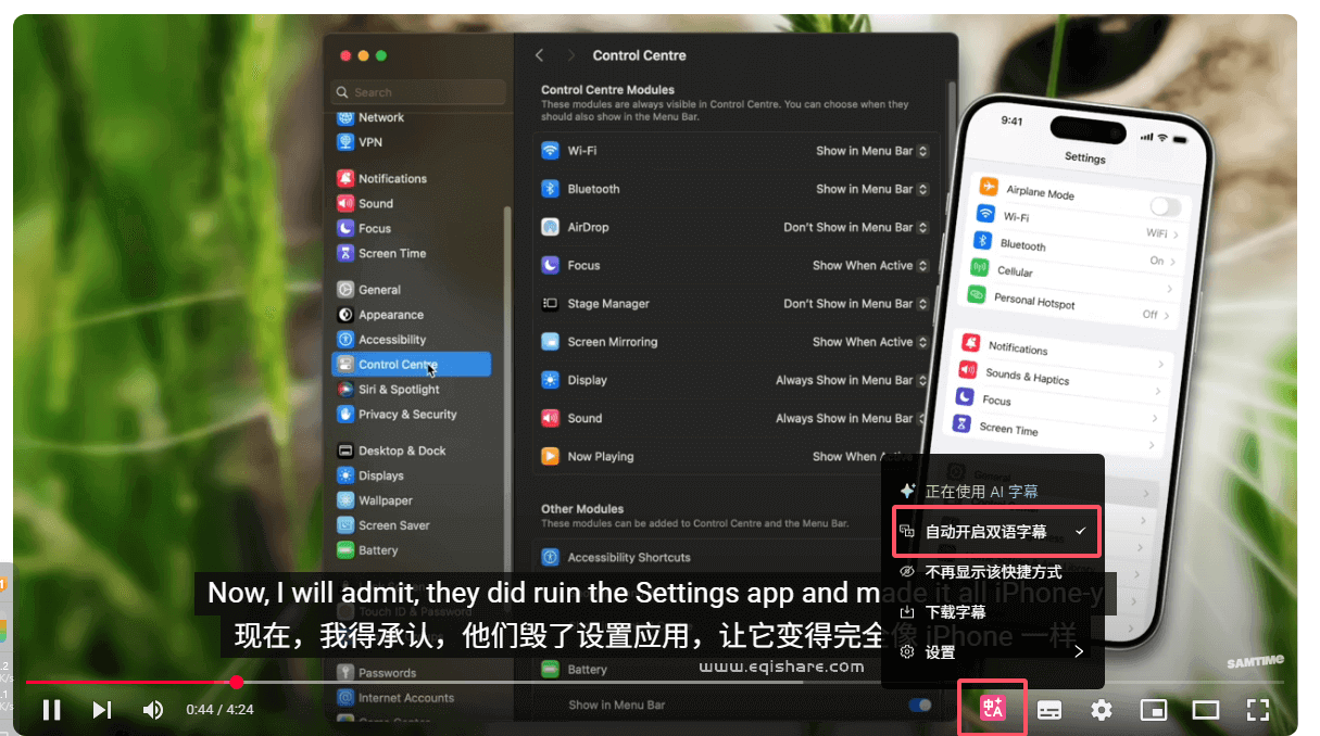 视频字幕.png
